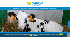 Desktop Screenshot of celtilait.com