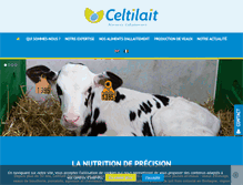 Tablet Screenshot of celtilait.com